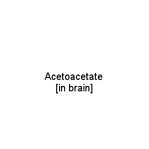 Acetoacetate [in brain]